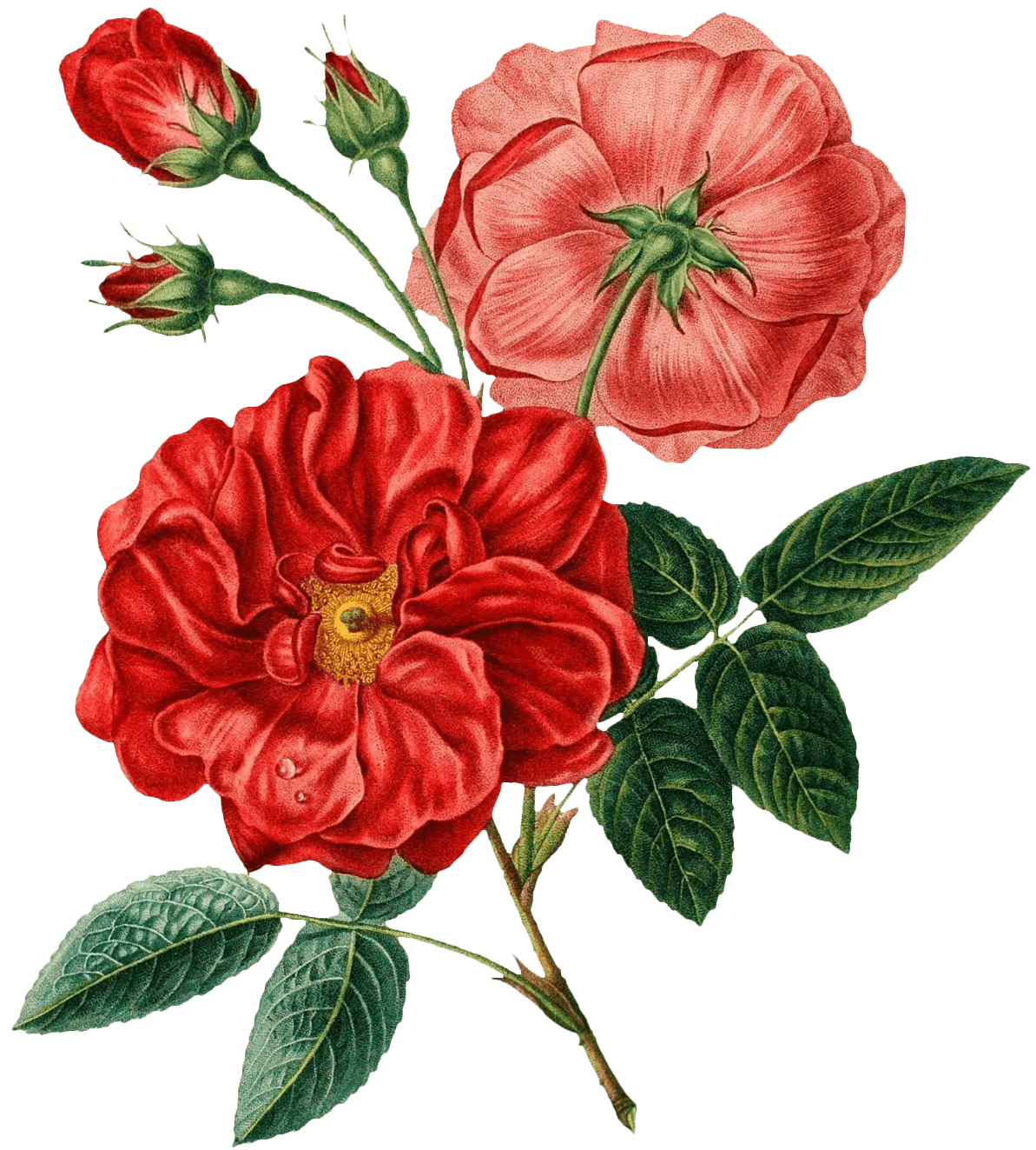 Floral Decoration Left